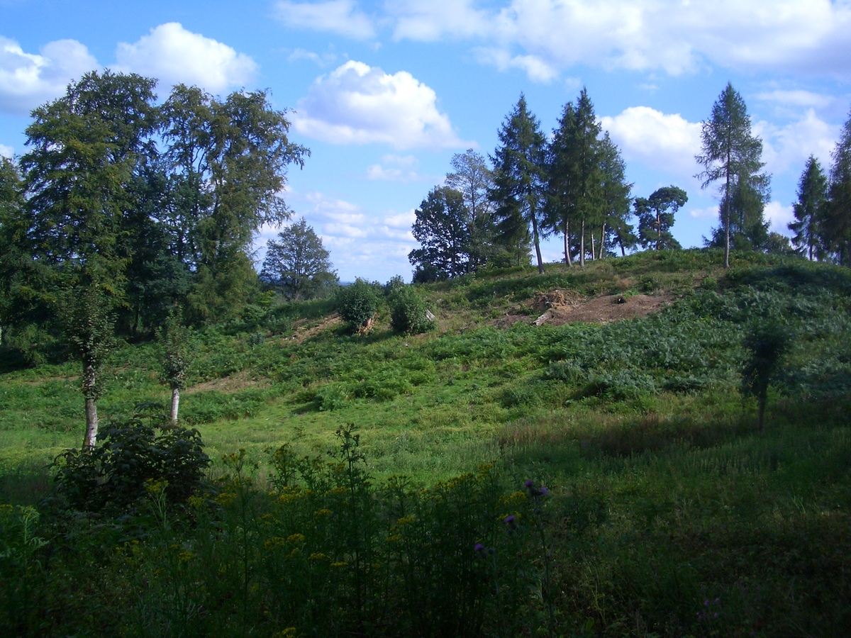 From New Road, looking south